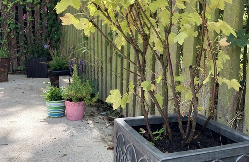 Armagh House | Stunning home in Armagh with relaxing outdoor space.