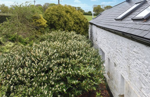 Sprytown Cottage | The Coach House - UK49601
