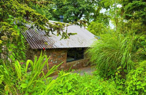 Dromore House | The Piggery