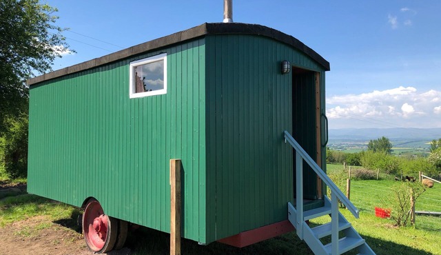 A magical different unique self catered space. Come and enjoy the animals too.
