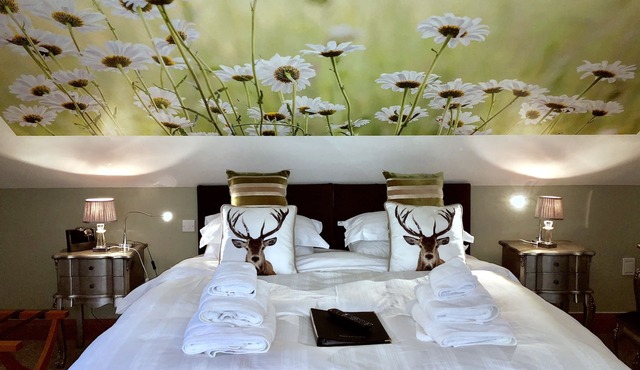 Ashbrook House B&B