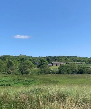 Castle Oliver Farm