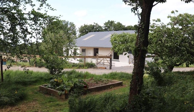 Converted Stables on Lough Derg — Harbour Pubs, Lake Walks, Near Shannon Airport