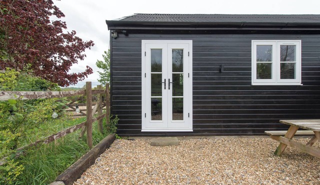 Cottage Poppy