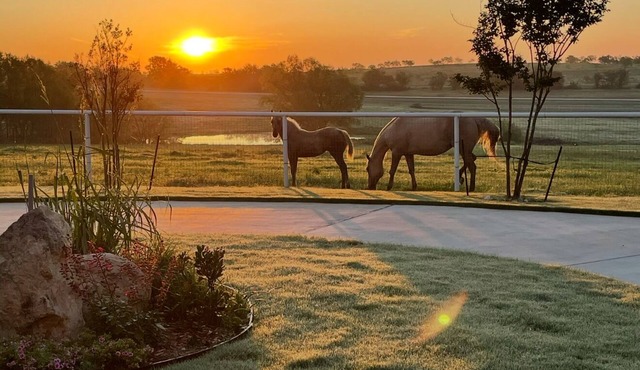 Cozy studio with queen pullout sofa on scenic working ranch in Fort Worth. in Fort Worth