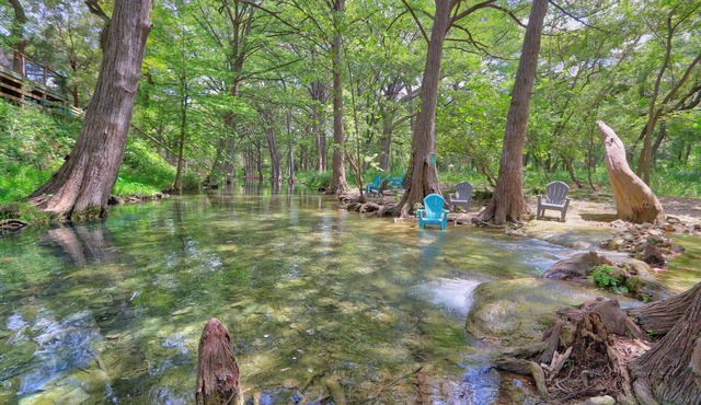Creekside Cabins - The Texan | Studio Layout with Creek Access! in Wimberley
