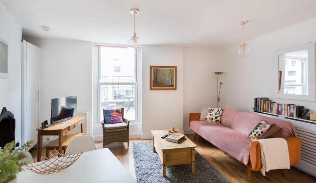 Entire Apartment in Central London