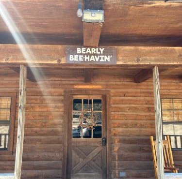 HoneyComb Hideouts Bearly BeeHavin cabin in Concan