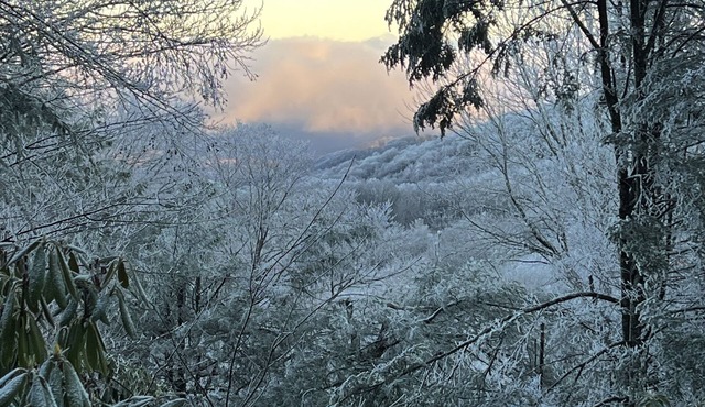 Less than 1 mile to Ski Beech Resort. Transferable club social membership. in Beech Mountain