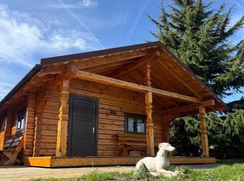 Log Cabin with Private Sauna and BBQ area in Canterbury