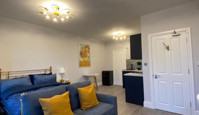 Luxury Studio Flat In London in London