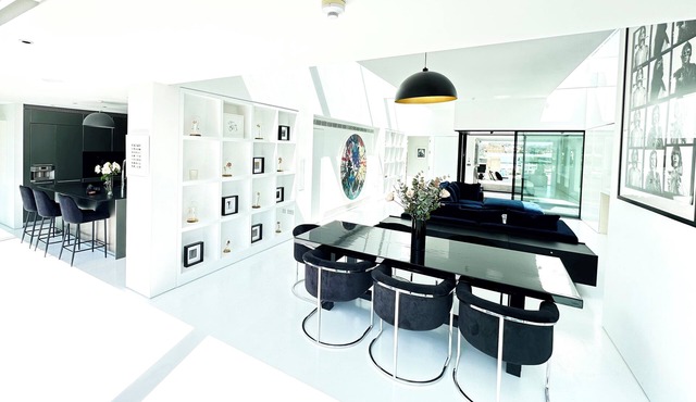 North London beautiful Penthouse designed by Rankin