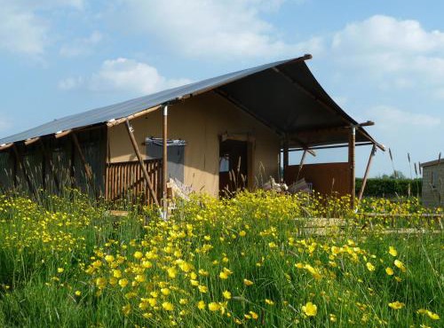 Pippin Lodge