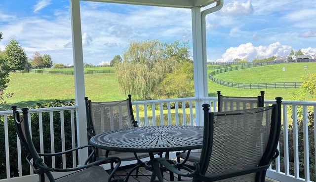 Private, comfortable 4-bedroom/3 bath cottage in Upperville with full amenities in Upperville