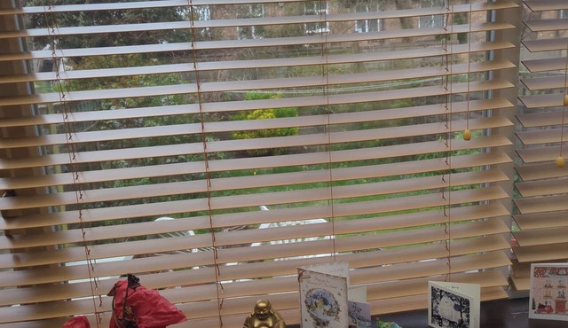 Rashas flat in London