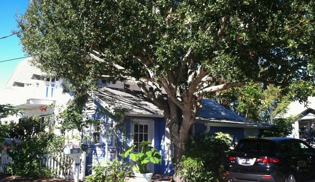 Roonie's Periwinkle Cottage - waterfront- 2 bikes - downtown Stuart in Stuart