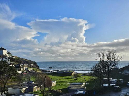 Sea view Villa Millendreath Looe in Looe