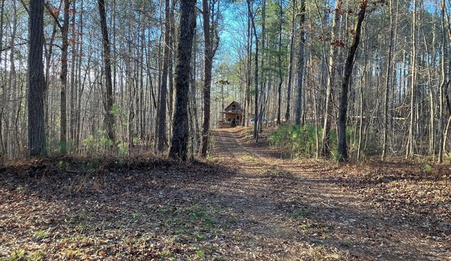 Secluded off-grid cabin in Fruithurst