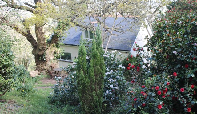 The Foretop