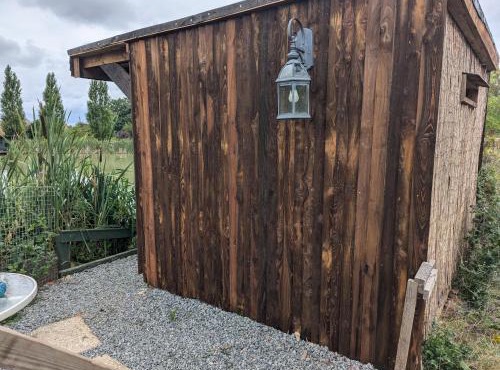 The willow cabin