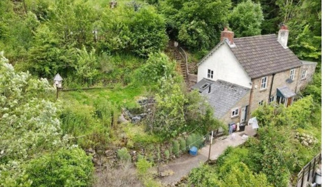 Tranquil Woodland Cottage by river Wye