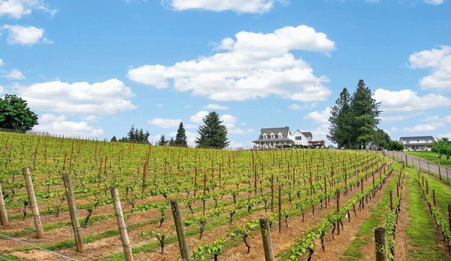 Willamette Wine Country Vineyard Escape in Monroe