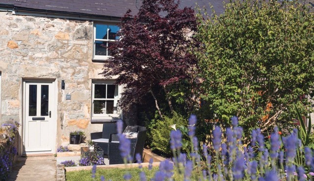 Ynata, Trefor, Gwynedd in Caernarfon