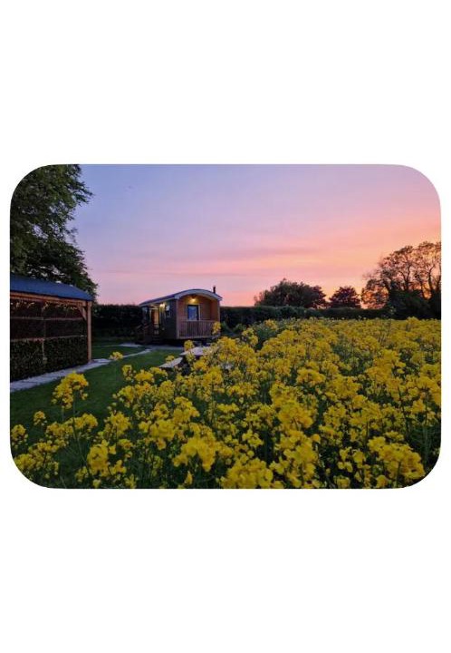 Killeagh House | The Shepherds Hut at Foxglove Lodge