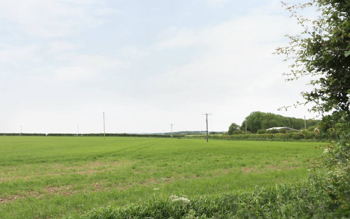 Photo of Others in Muston