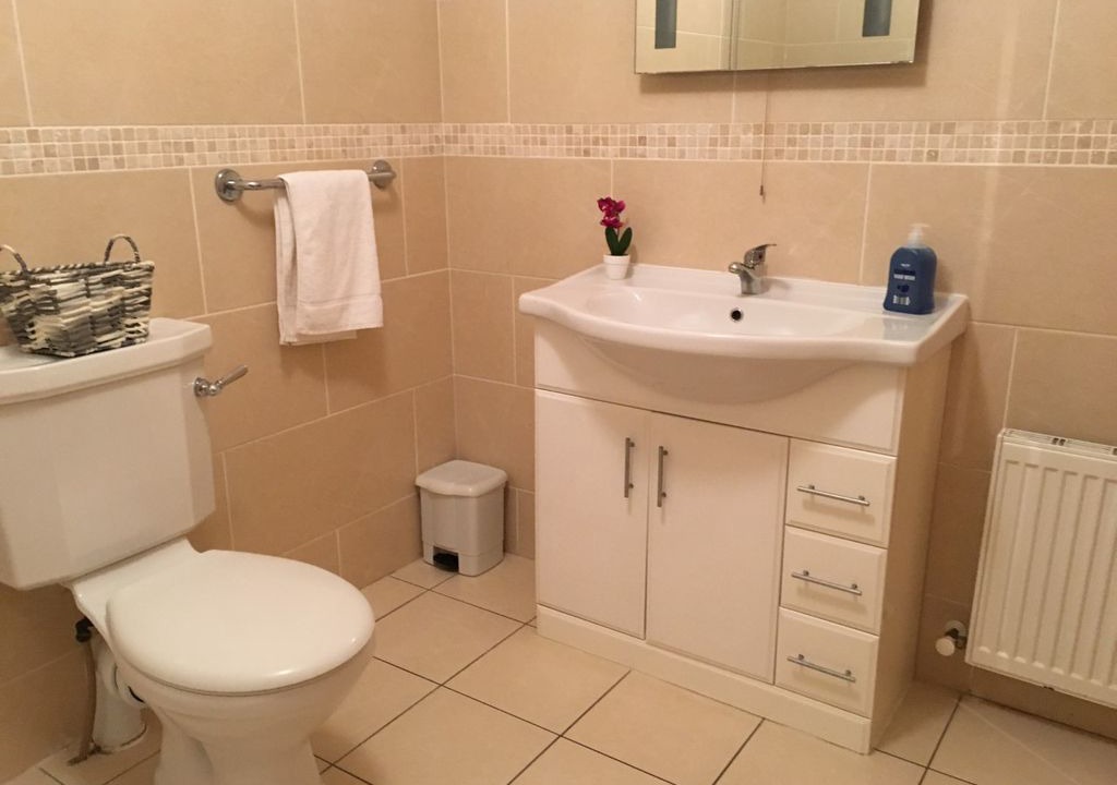 Photo of Bathroom in Portumna