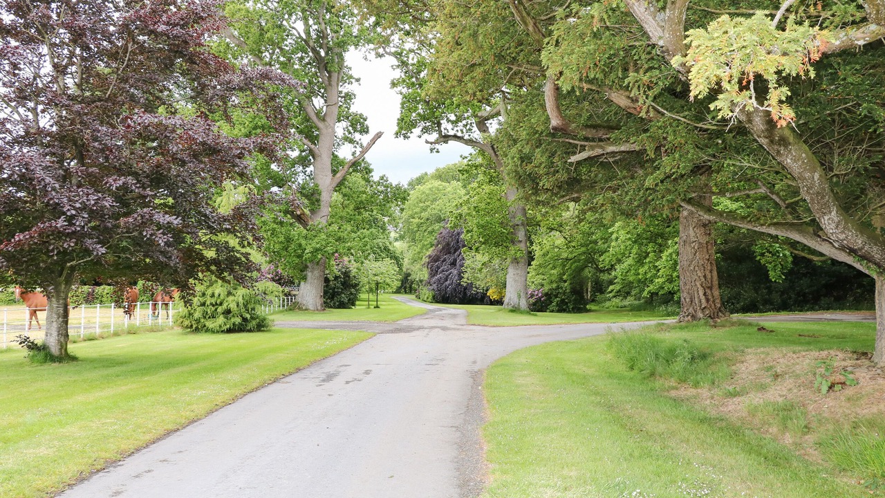 Photo of Others in Scarva