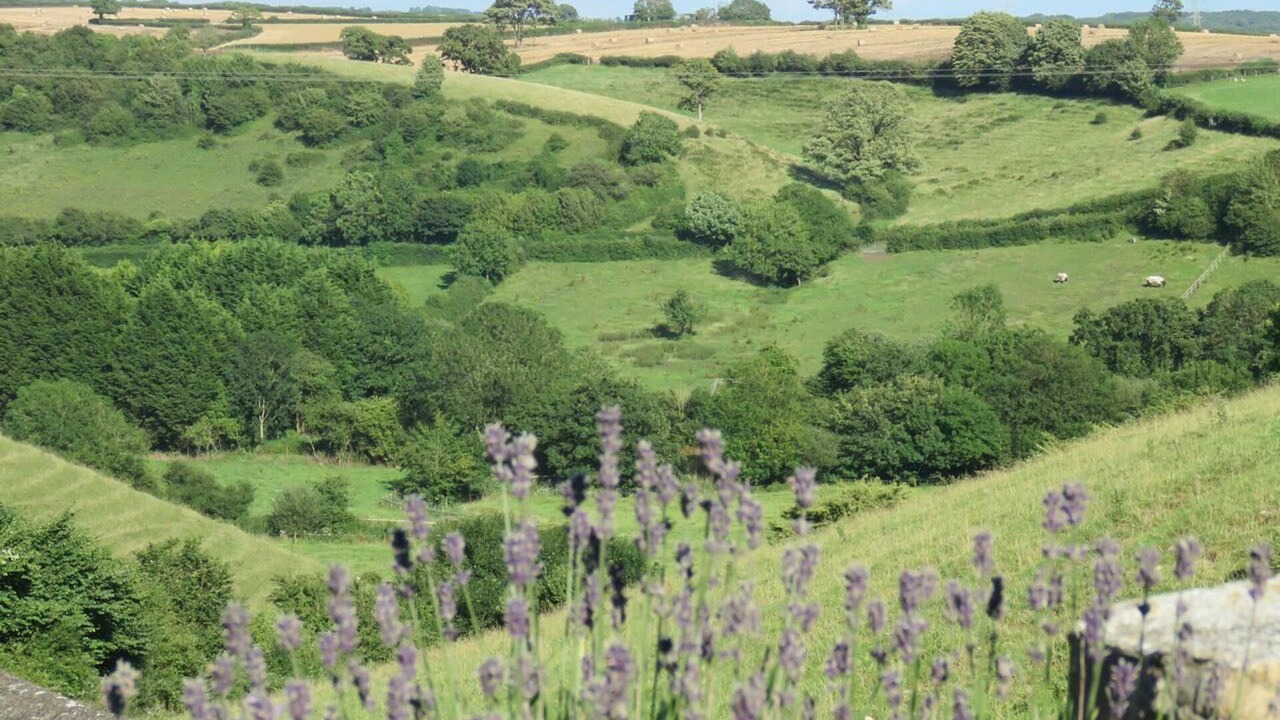 Photo of Others in Llancarfan