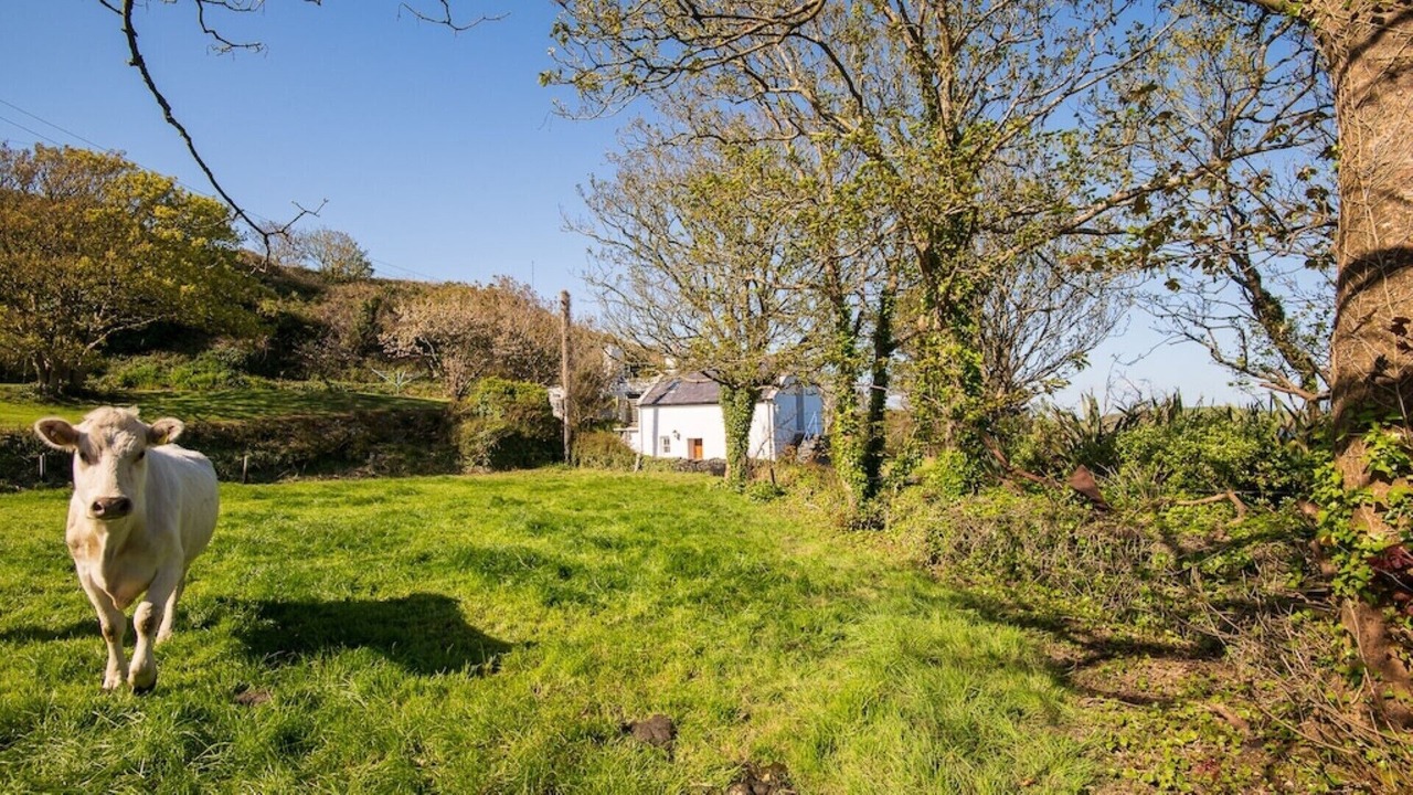 Photo of Outdoor in Skibbereen