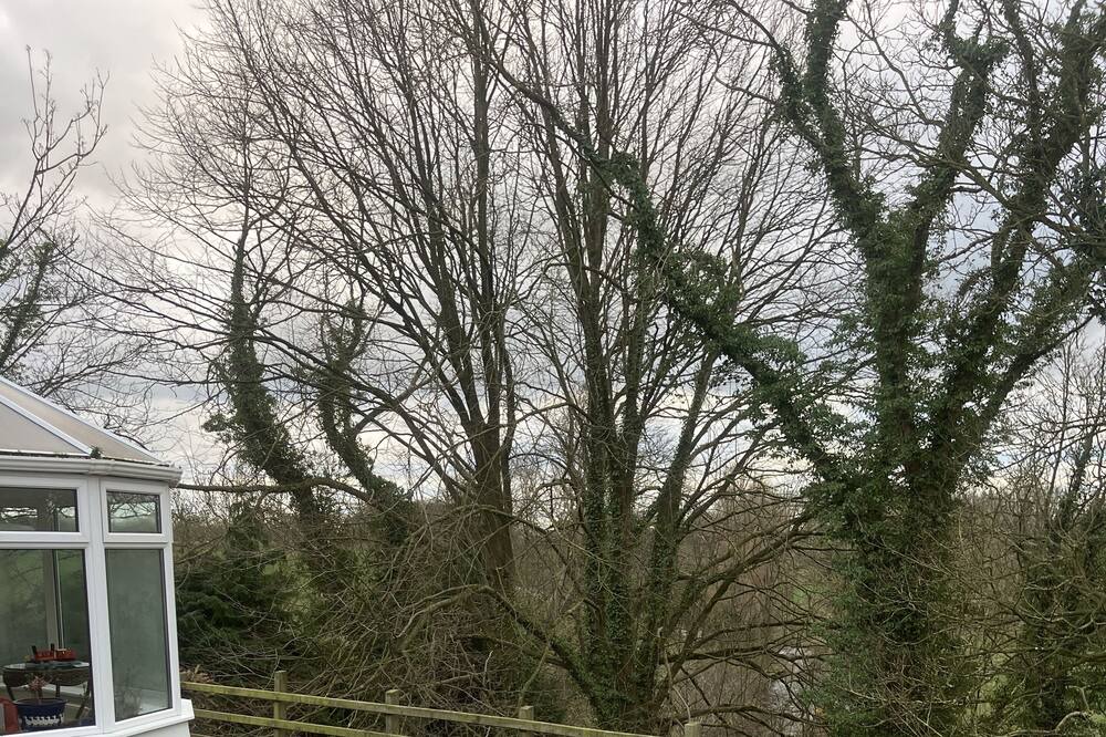 Photo of Outdoor in Ballymoney