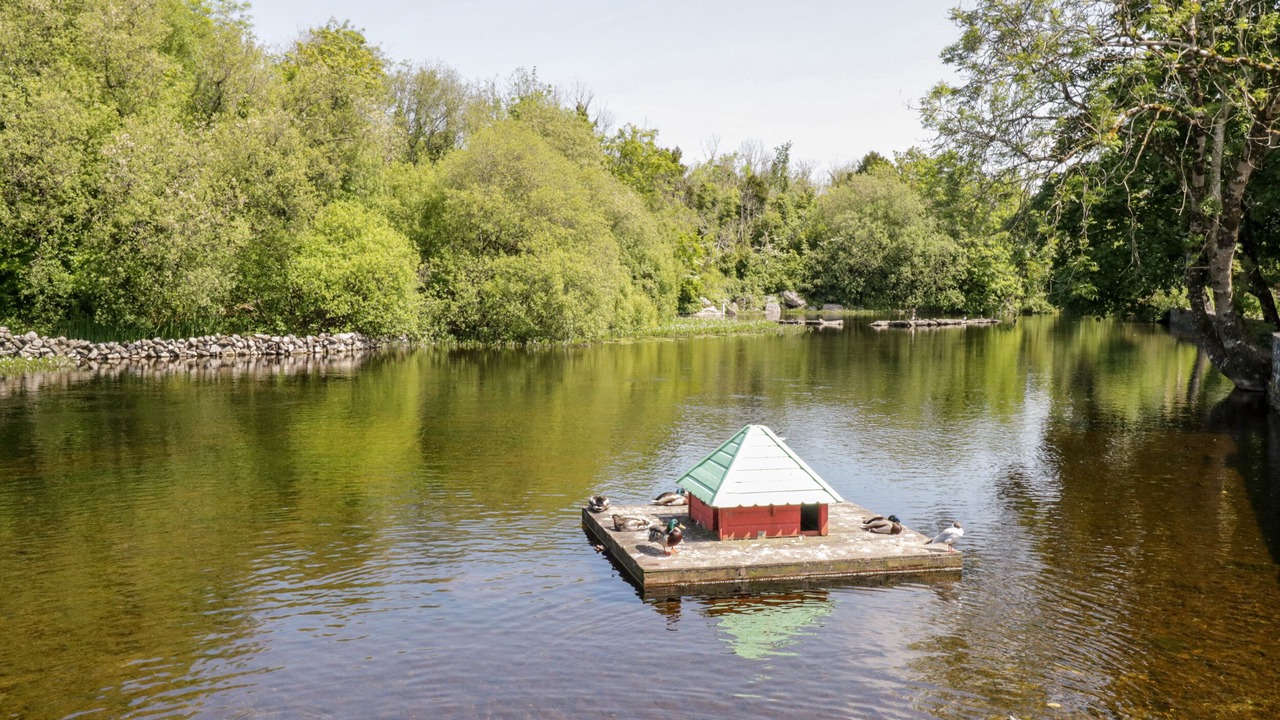 Photo of Others in Ballinrobe