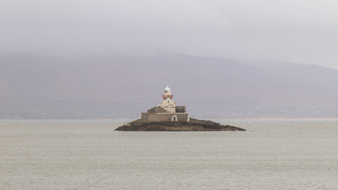 Photo of Others in Fenit