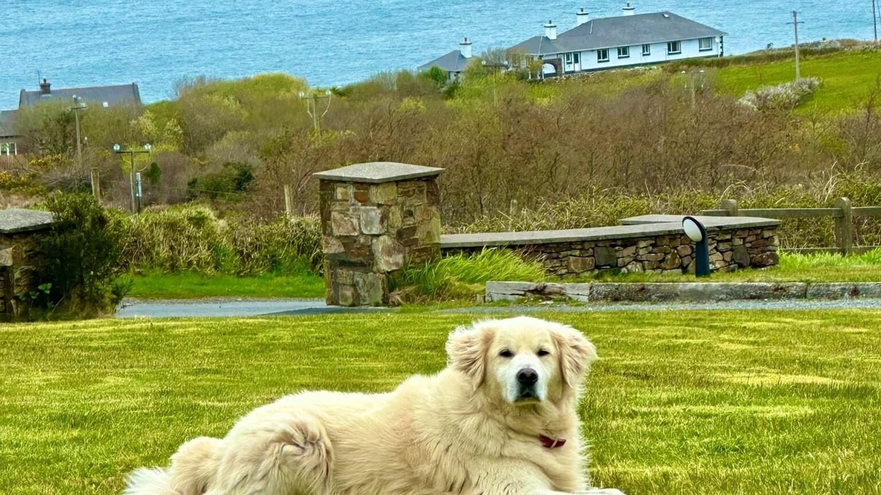 Photo of Outdoor in Westport