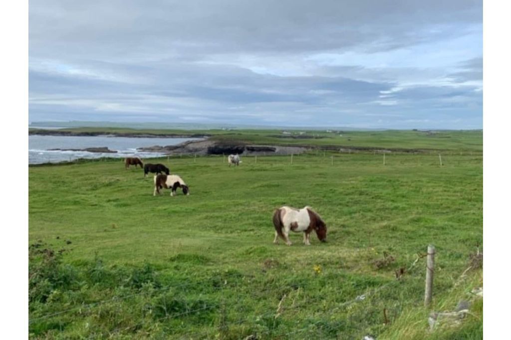 Photo of Outdoor in Spanish Point