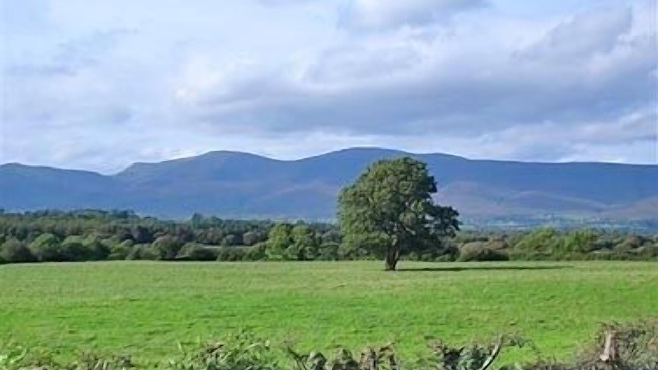 Photo of Outdoor in Milltown