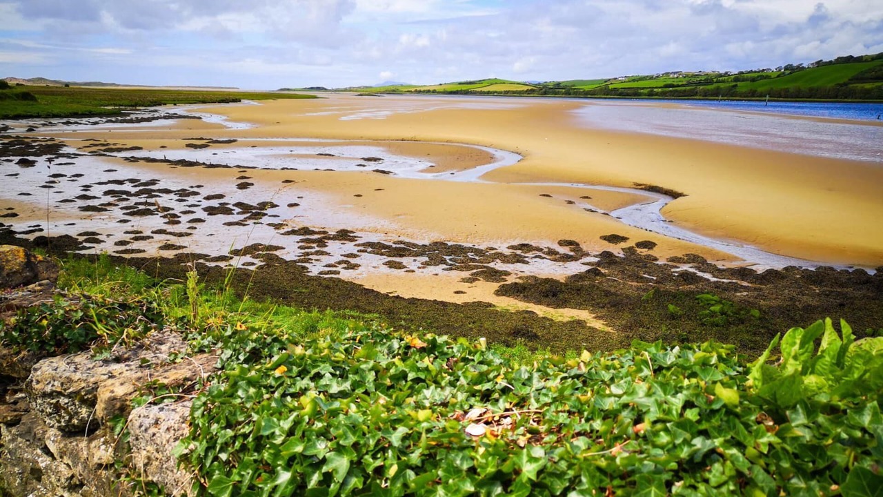 Photo of Others in Ballyshannon