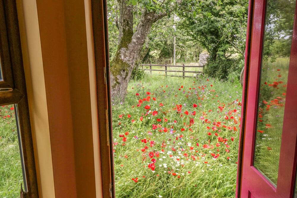 Photo of Outdoor in Connacht