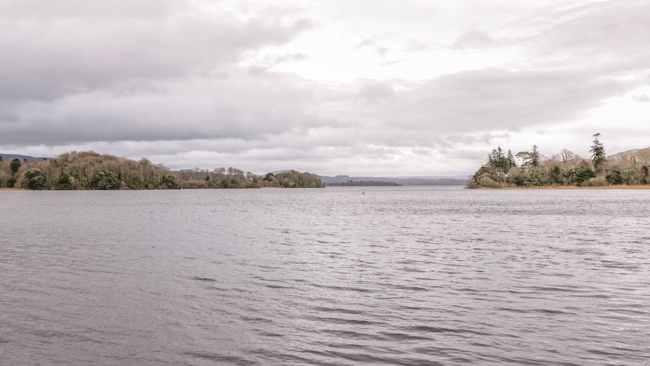 Photo of Others in Sligo