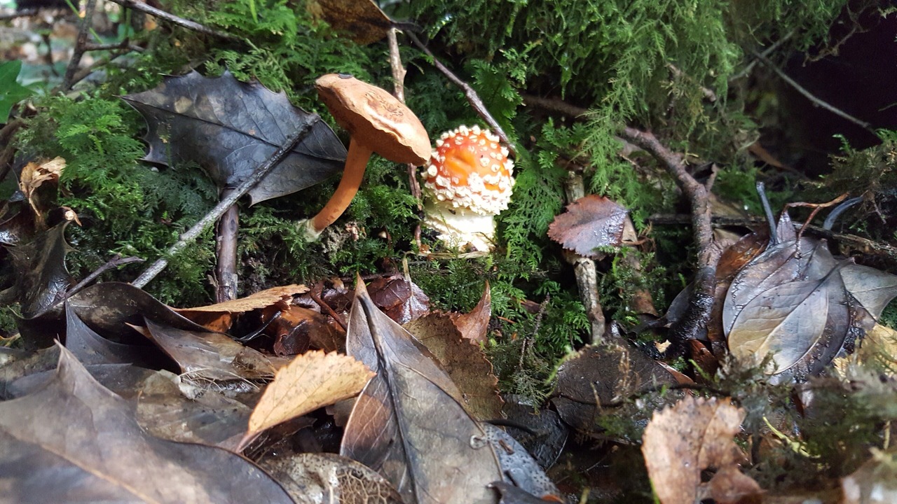 Photo of Outdoor in Graiguenamanagh