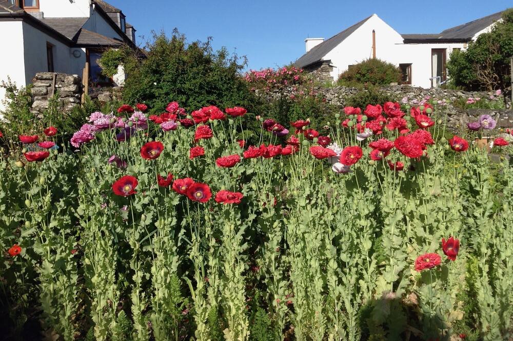 Photo of Outdoor in Ardnatrush