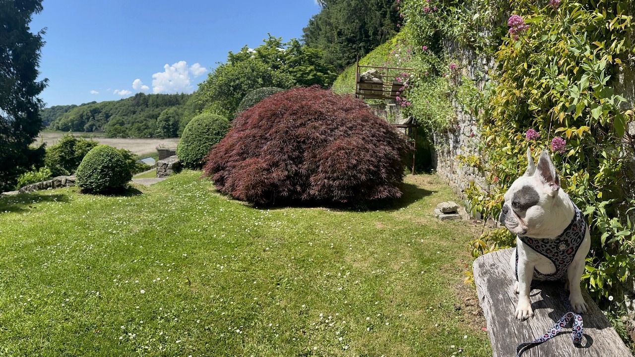 Photo of Others in Haverfordwest