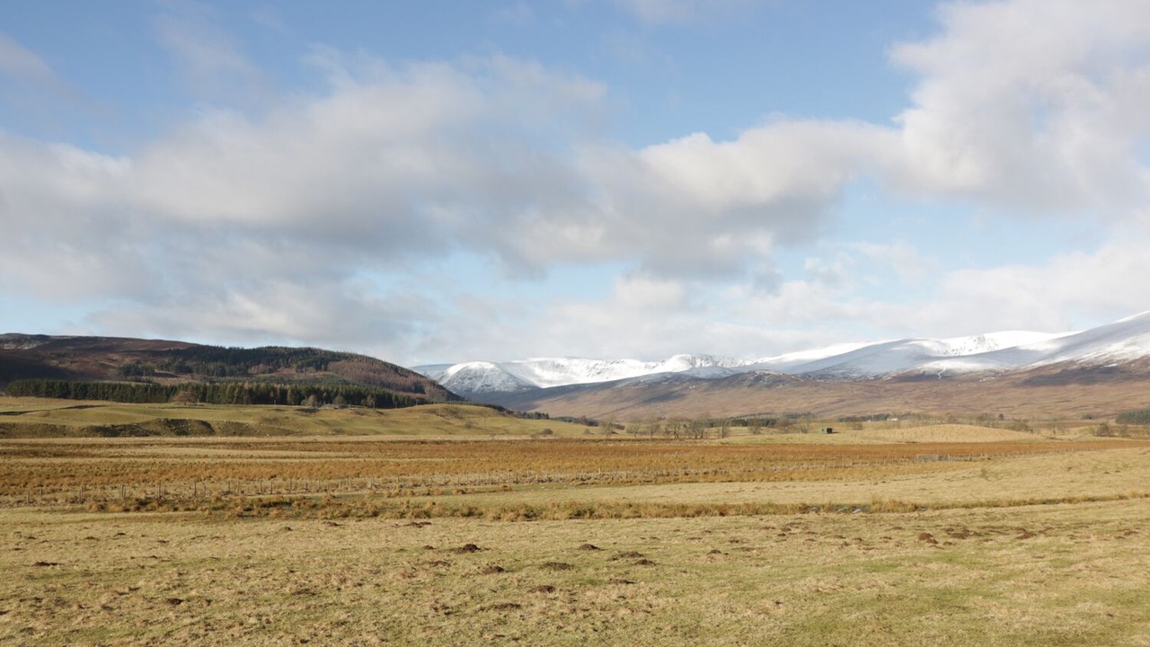 Photo of Others in Kirriemuir