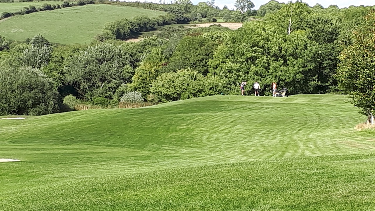 Photo of Others in Faithlegg