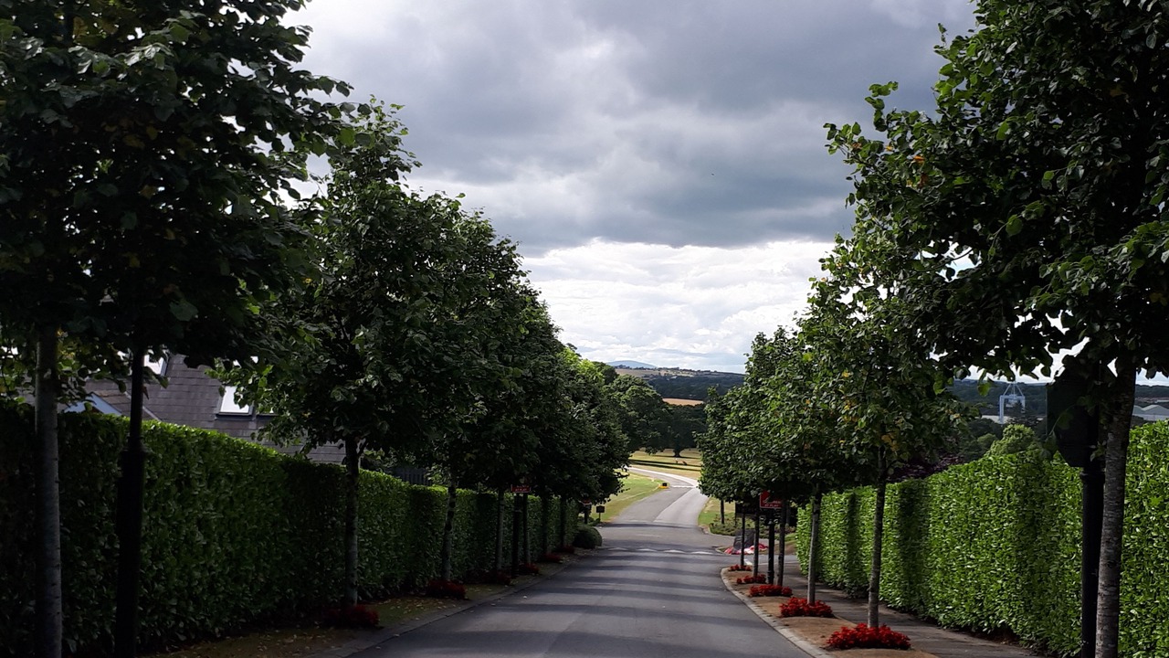 Photo of Outdoor in Faithlegg