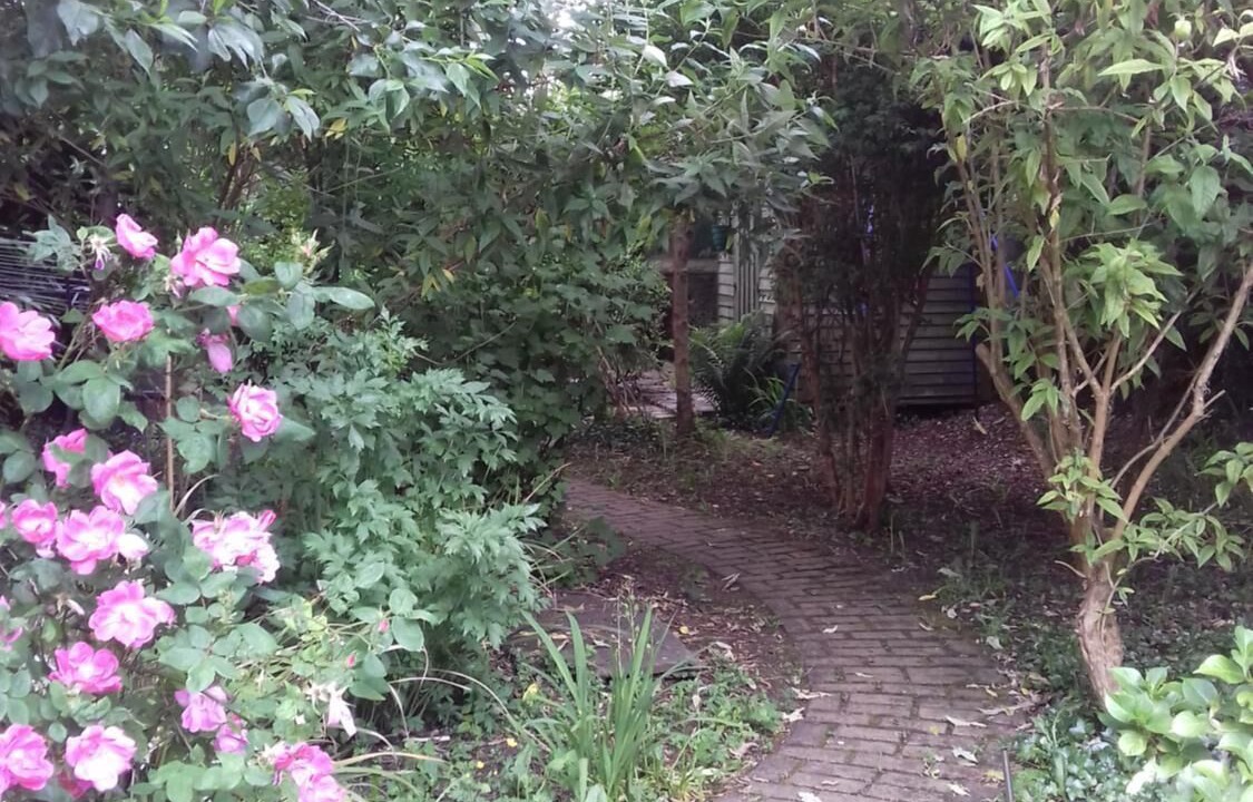 Photo of Outdoor in Ennis