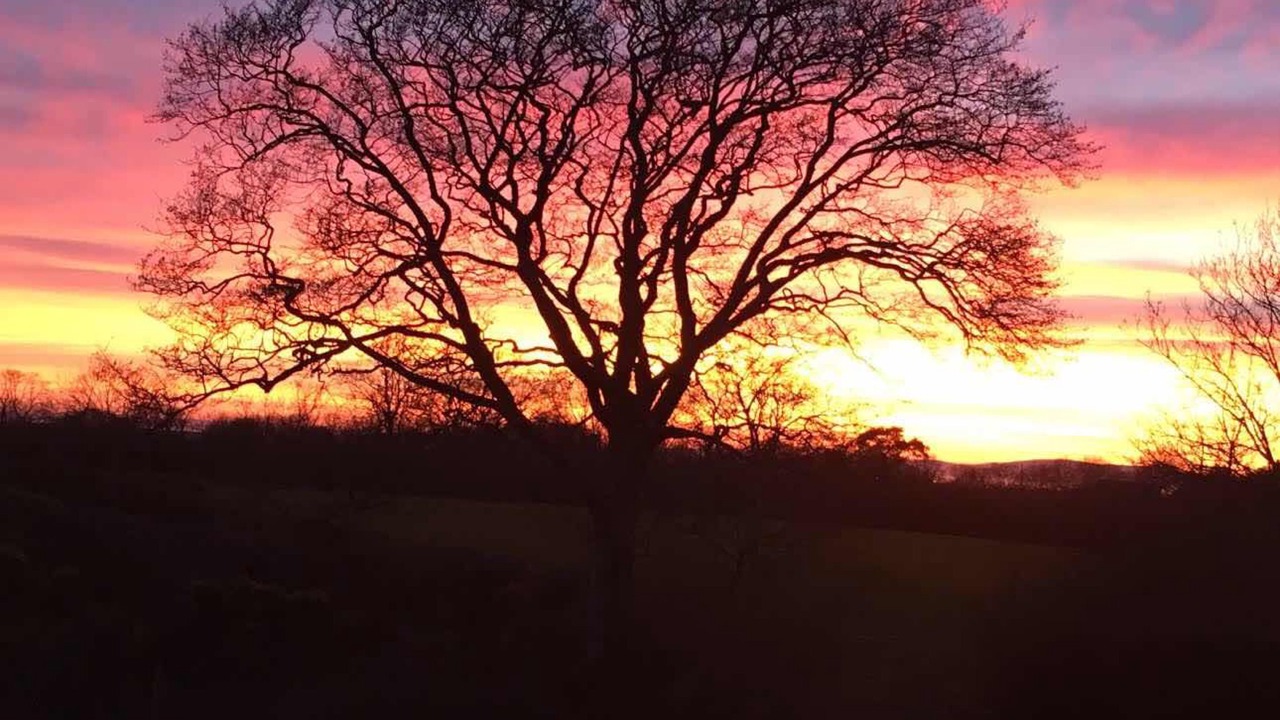 Photo of Outdoor in Crumlin